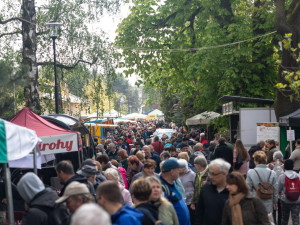 FOTOGALERIE: Galaxie květin se otevřela návštěvníkům, jarní Flora v Olomouc láká davy