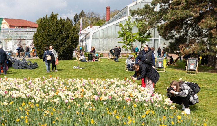 FOTOGALERIE: Galaxie květin se otevřela návštěvníkům, jarní Flora v Olomouc láká davy