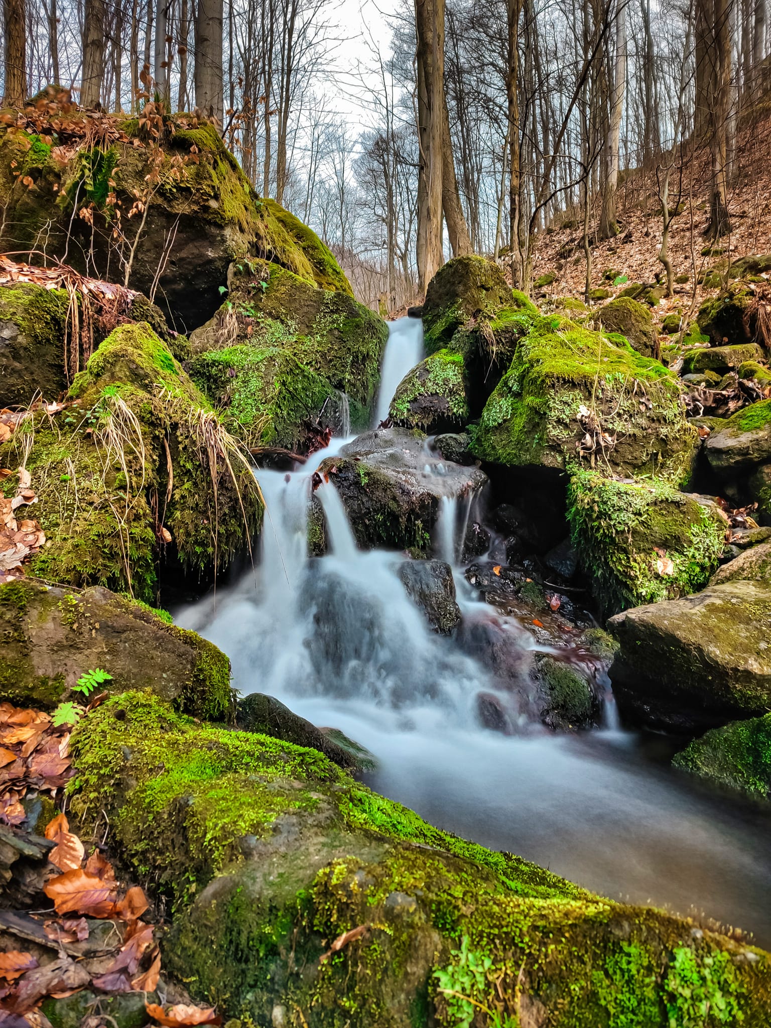 FOTOGALERIE: Osvěžující jarní procházka v srdci Hostýnských vrchů