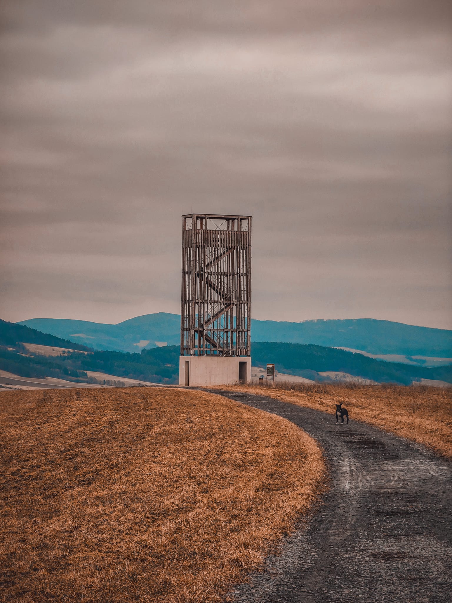 FOTOGALERIE:
