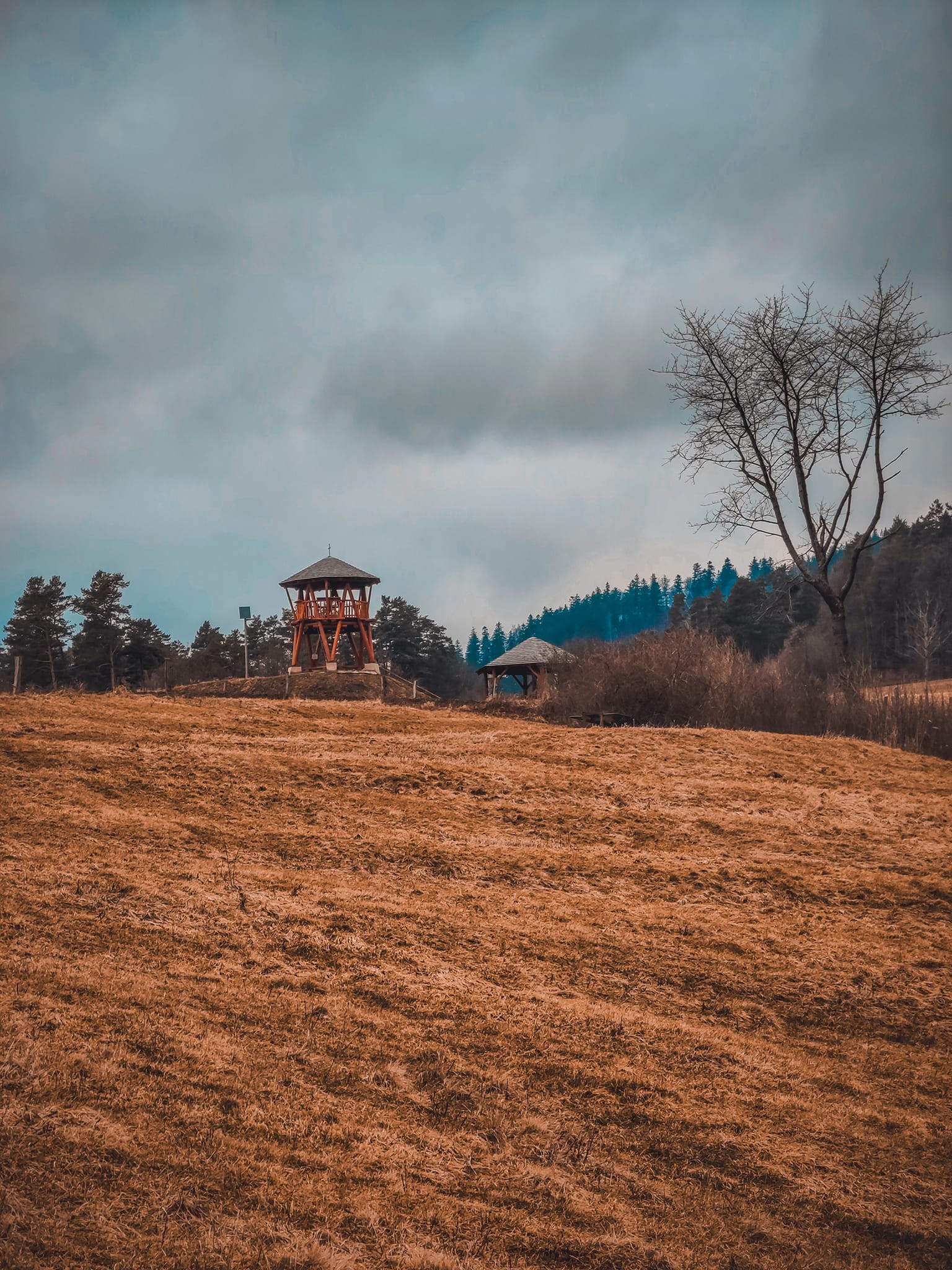 FOTOGALERIE: