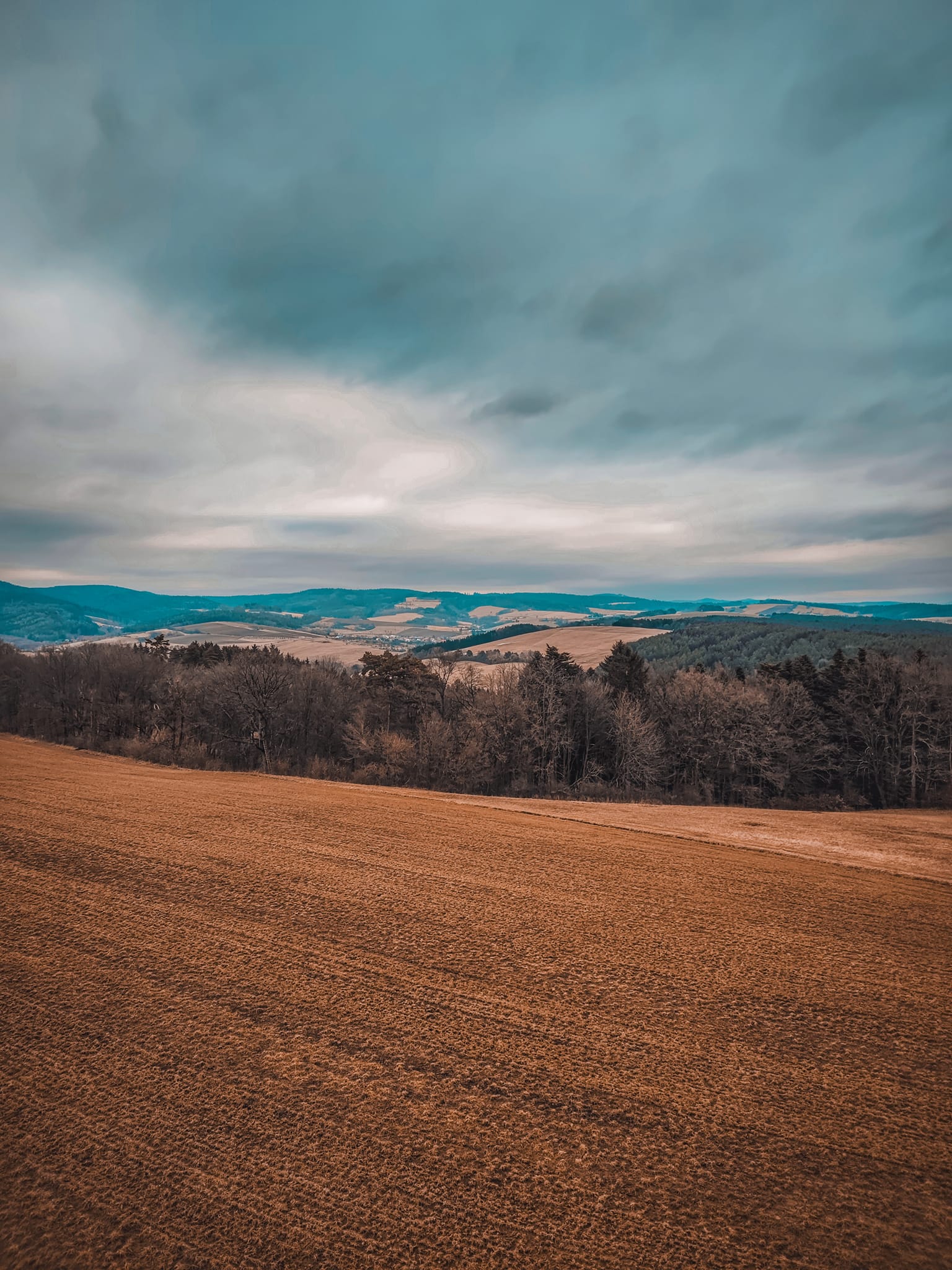 FOTOGALERIE: