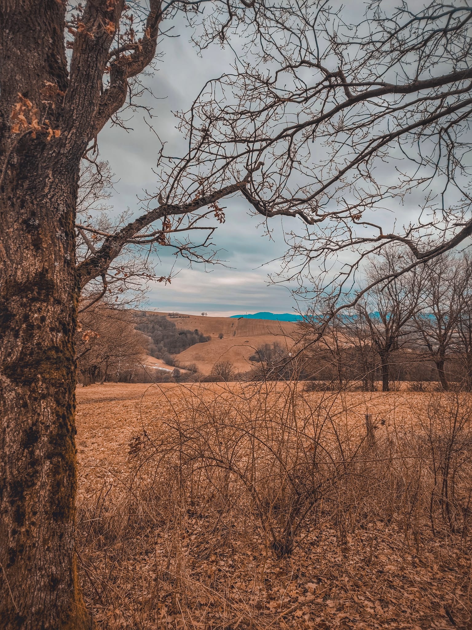 FOTOGALERIE: