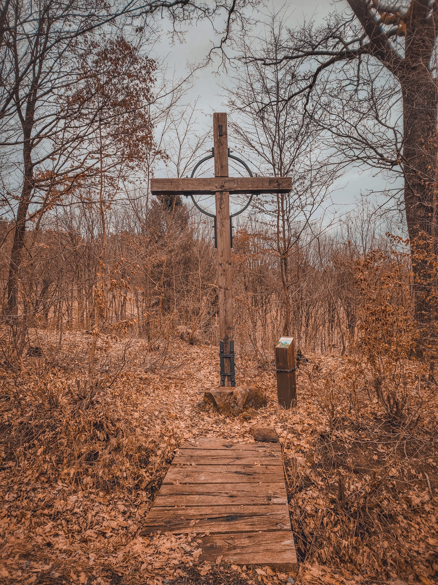 FOTOGALERIE: