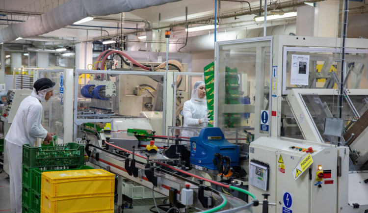 FOTOGALERIE: Moderní i tradiční. Čokoládovna Zora Olomouc funguje v Olomouci přes 120 let