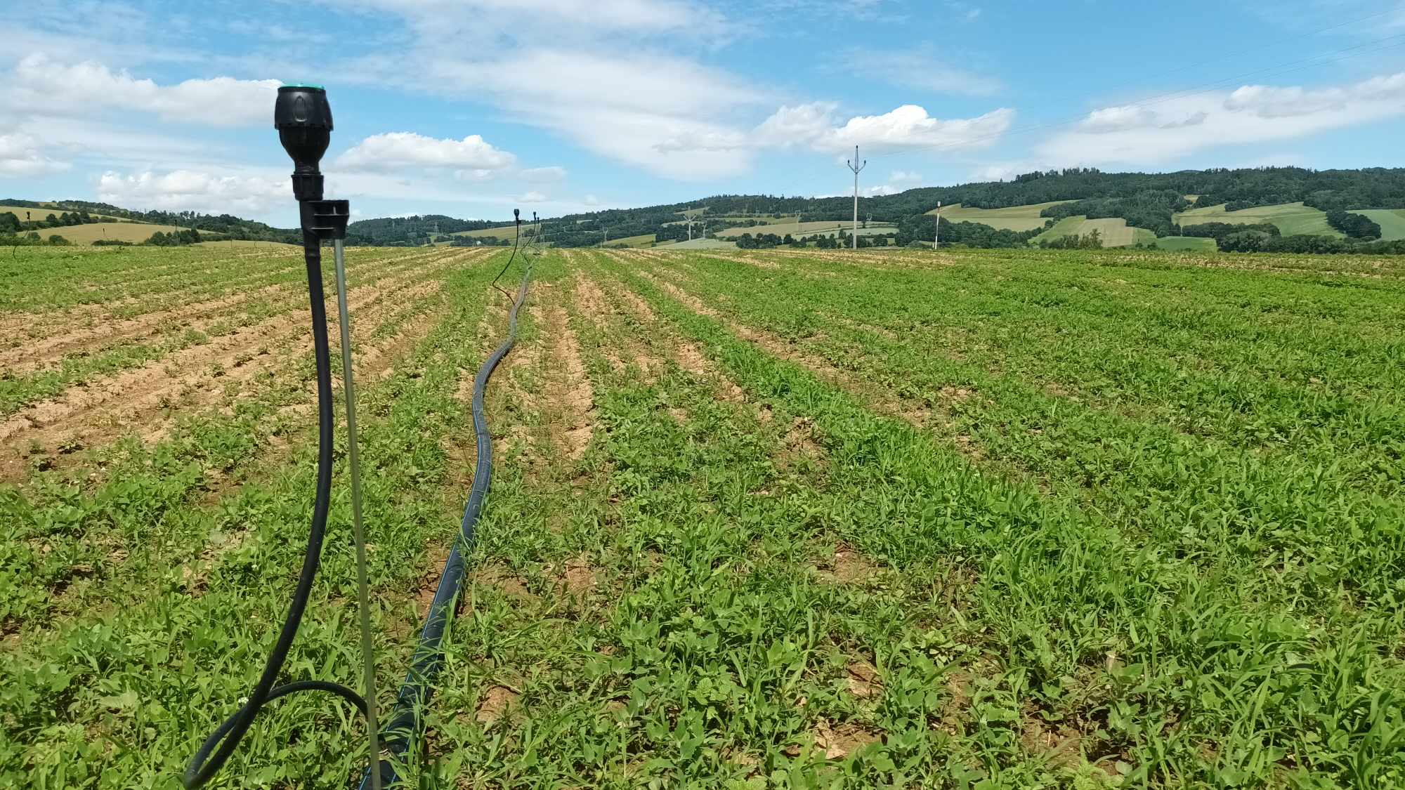 FOTOGALERIE: Jablka a byliny. Kofola rozvíjí sady na Šumpersku