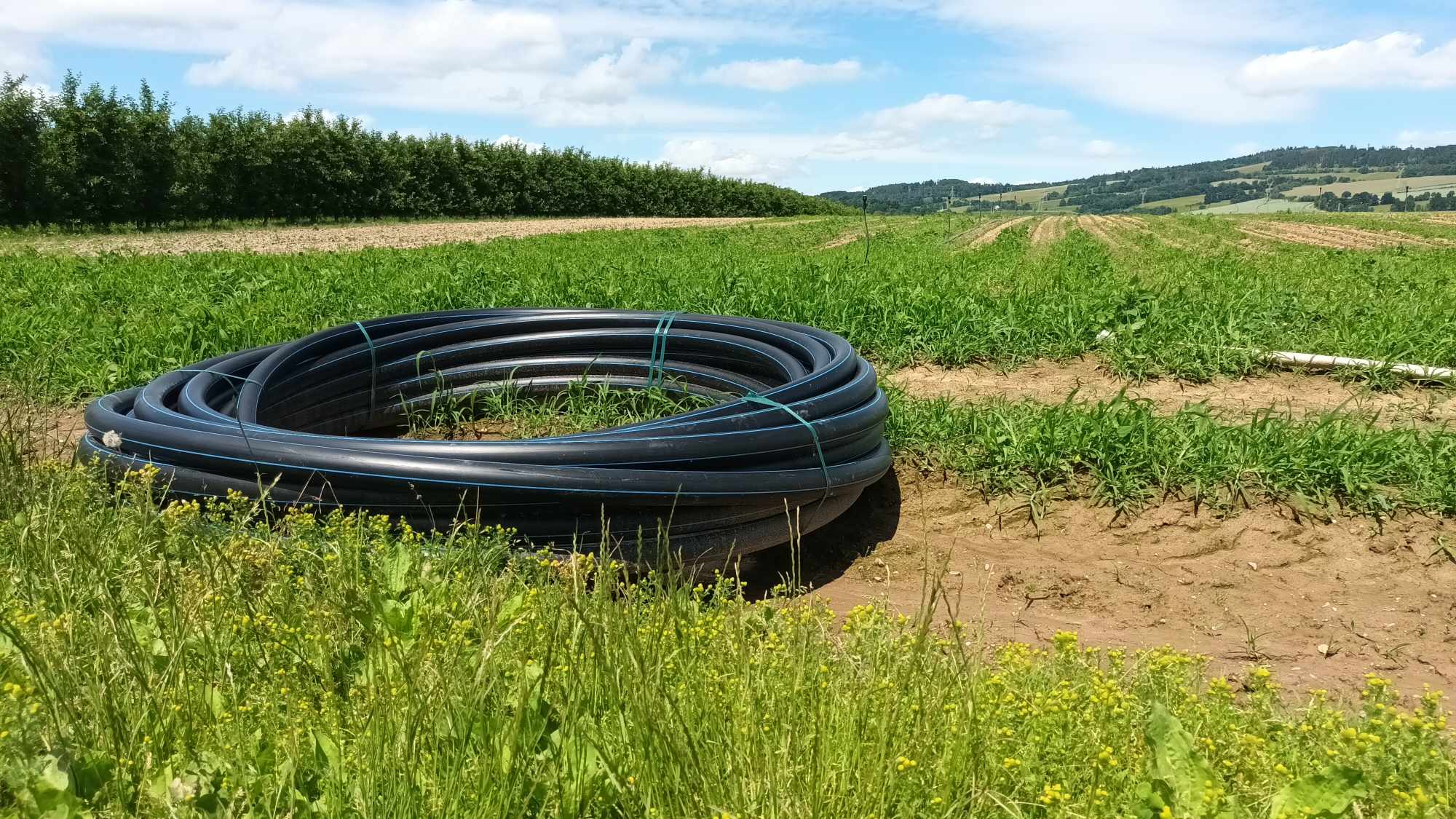 FOTOGALERIE: Jablka a byliny. Kofola rozvíjí sady na Šumpersku