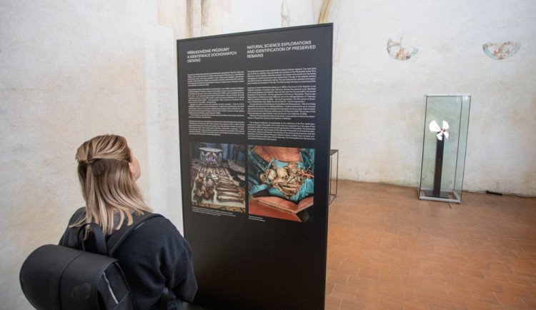 FOTOGALERIE: Výstava představuje podobu olomouckých Přemyslovců