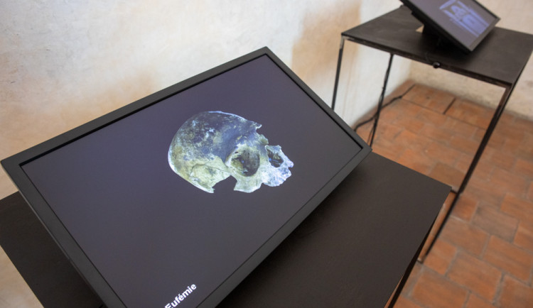 FOTOGALERIE: Výstava představuje podobu olomouckých Přemyslovců