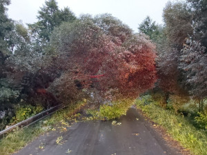 FOTOGALERIE: Pásmo bouřek způsobilo škody v Olomouckém kraji