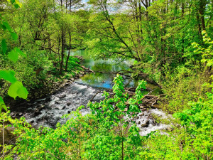 FOTOGALERIE: Okruh Pomoravím má deset kilometrů, je pro děti i maminky s kočárkem