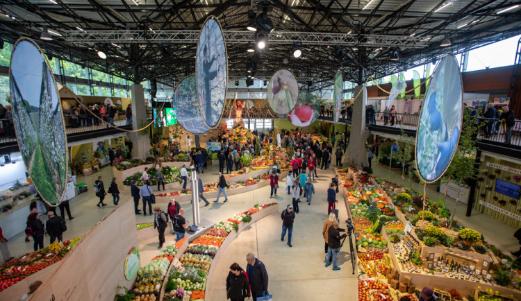 FOTOGALERIE: Barvy a vůně podzimu. V Olomouci začala oblíbená výstava Flora