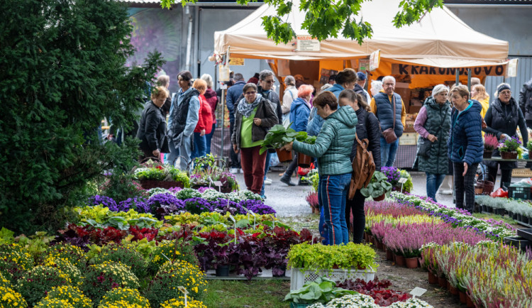 FOTOGALERIE: Barvy a vůně podzimu. V Olomouci začala oblíbená výstava Flora