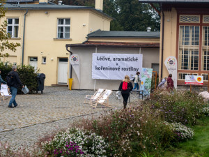 FOTOGALERIE: Barvy a vůně podzimu. V Olomouci začala oblíbená výstava Flora