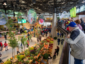 FOTOGALERIE: Barvy a vůně podzimu. V Olomouci začala oblíbená výstava Flora