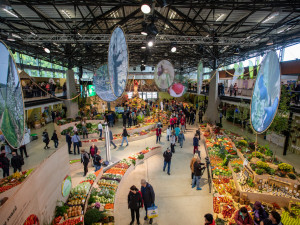 FOTOGALERIE: Barvy a vůně podzimu. V Olomouci začala oblíbená výstava Flora