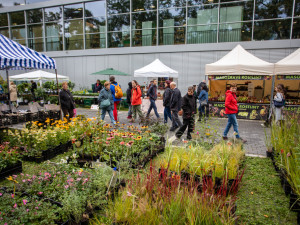 FOTOGALERIE: Barvy a vůně podzimu. V Olomouci začala oblíbená výstava Flora