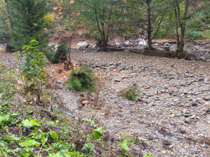 FOTOGALERIE: Na některých místech si mohutný proud našel novou cestu