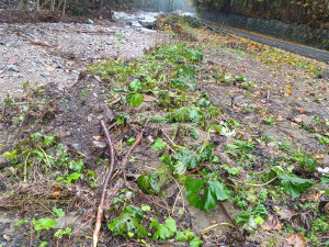 FOTOGALERIE: Na některých místech si mohutný proud našel novou cestu