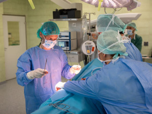 FOTOGALERIE: Odborníci z FN Olomouc zavádějí pacientovi nový stimulátor tišící bolest