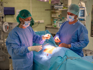 FOTOGALERIE: Odborníci z FN Olomouc zavádějí pacientovi nový stimulátor tišící bolest