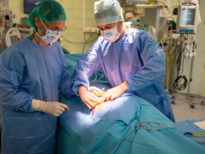 FOTOGALERIE: Odborníci z FN Olomouc zavádějí pacientovi nový stimulátor tišící bolest