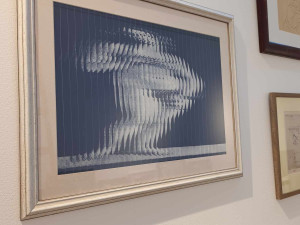 FOTOGALERIE: Evropská moderna v prostějovském muzeu