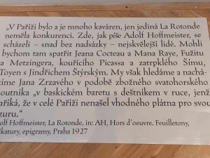 FOTOGALERIE: Evropská moderna v prostějovském muzeu