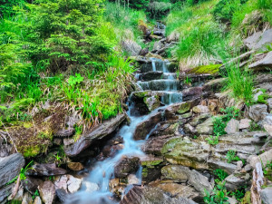 FOTOGALERIE: Jedinečné výhledy na úžasnou přírodu Jeseníků a dolní nádrž Dlouhé stráně