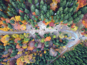 Tři sesuvy v Hladovém dole zasypaly Hladovou cestu. Vznikly kvůli narušení svahu při stavbě nezajištěné cesty a utržení smrků. Listnaté stromy s hlubšími kořeny rozsah zmírnily.