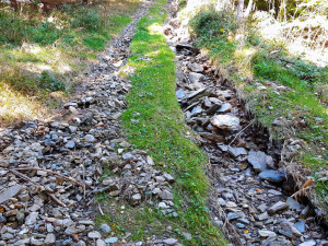 Oblastní plán rozvoje lesa uvádí, že délka lesní cestní sítě k roku 2021 činila v oblasti Hrubého Jeseníku 1213 kilometrů. Z mnoha cest se pak stanou vysokoenergetické potoky.