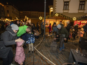 FOTOGALERIE: Začaly vánoční trhy v Olomouci. Před orlojem září strom Floriánek