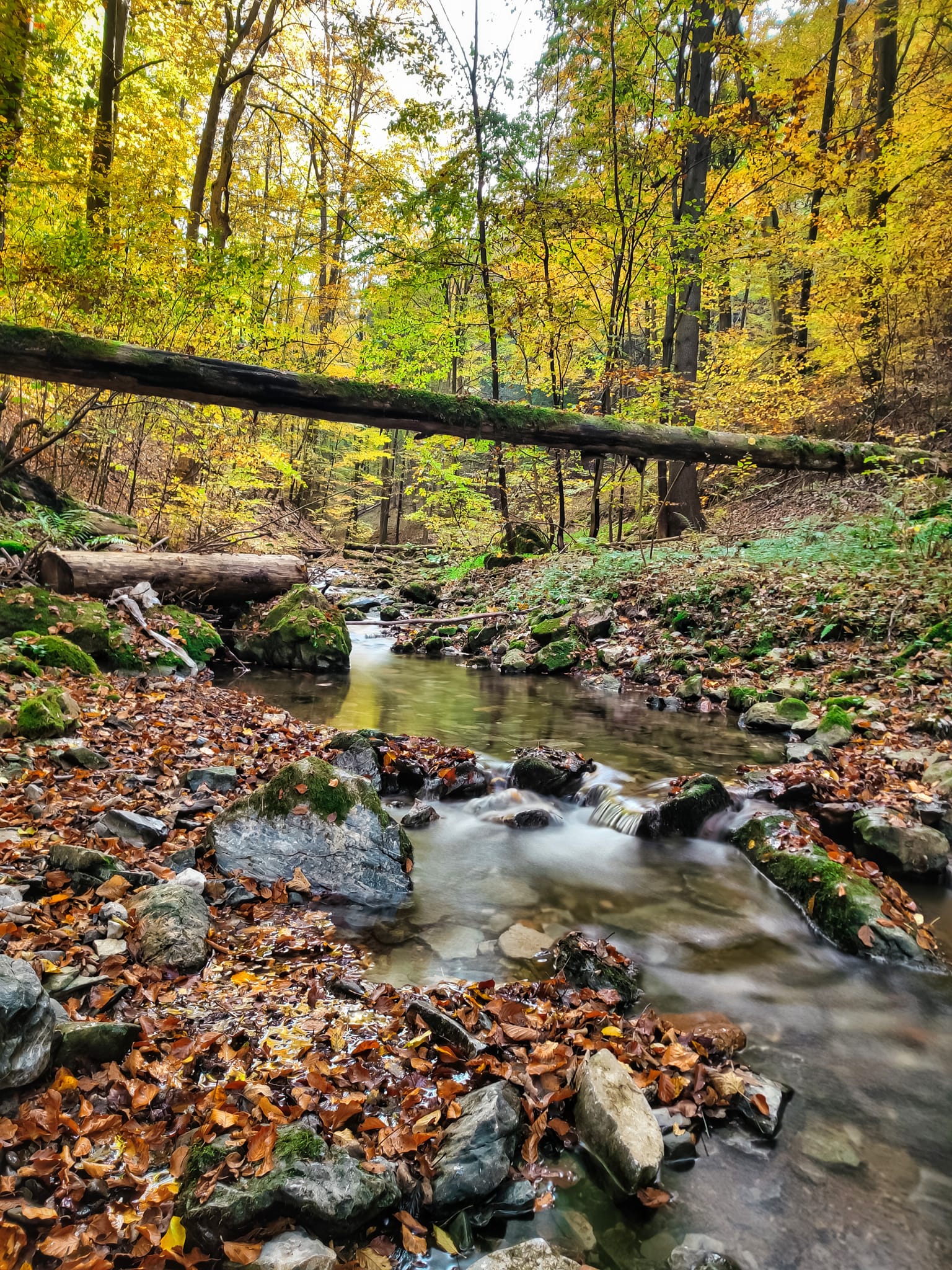 FOTOGALERIE: V okolí Javoříčských jeskyní je řada zajímavostí