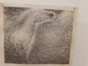 FOTOGALERIE: Pozoruhodná výstava prostějovských středoškoláků