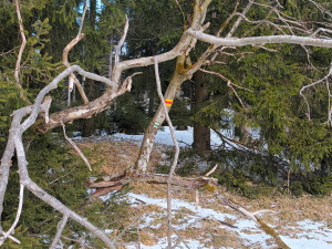 FOTOGALERIE: Krásné výhledy, tajemná rozhledna, borůvkové knedlíky
