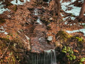 FOTOGALERIE: Poniklý a Borový vodopád v Jeseníkách. Seznamte se