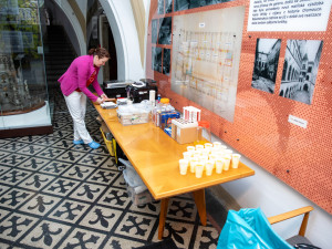 FOTOGALERIE: Prostory olomoucké radnice se na den proměnily na transfuzní stanici pro dárce krve