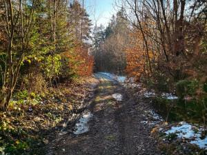 FOTOGALERIE: Nenáročný výlet v okolí Svébohova s rozhlednou a vyhlídkou