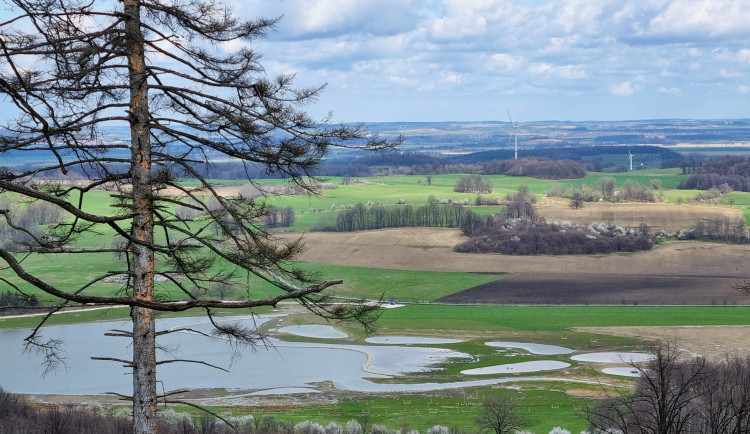 3-lokalni-biocentrum-s-vodni-nadrzi-mojmiruv-rybnik