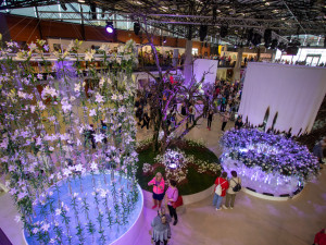 FOTOGALERIE: Jarní Flora 2025 nabízí nejen unikátní hlavní expozici