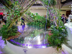 FOTOGALERIE: Jarní Flora 2025 nabízí nejen unikátní hlavní expozici