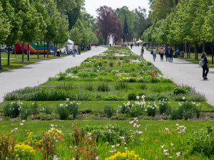 FOTOGALERIE: Jarní Flora 2025 nabízí nejen unikátní hlavní expozici