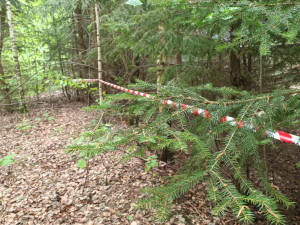 FOTOGALERIE: Nebezpečné kadmiové odpady u Vikantic na Šumpersku