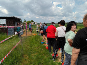 FOTOGALERIE: Jahodové pole u Prostějova obsadili sběrači