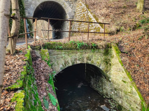 FOTOGALERIE: Nenáročný okruh s vyhlídkou na skalním útvaru Malý Rabštýn