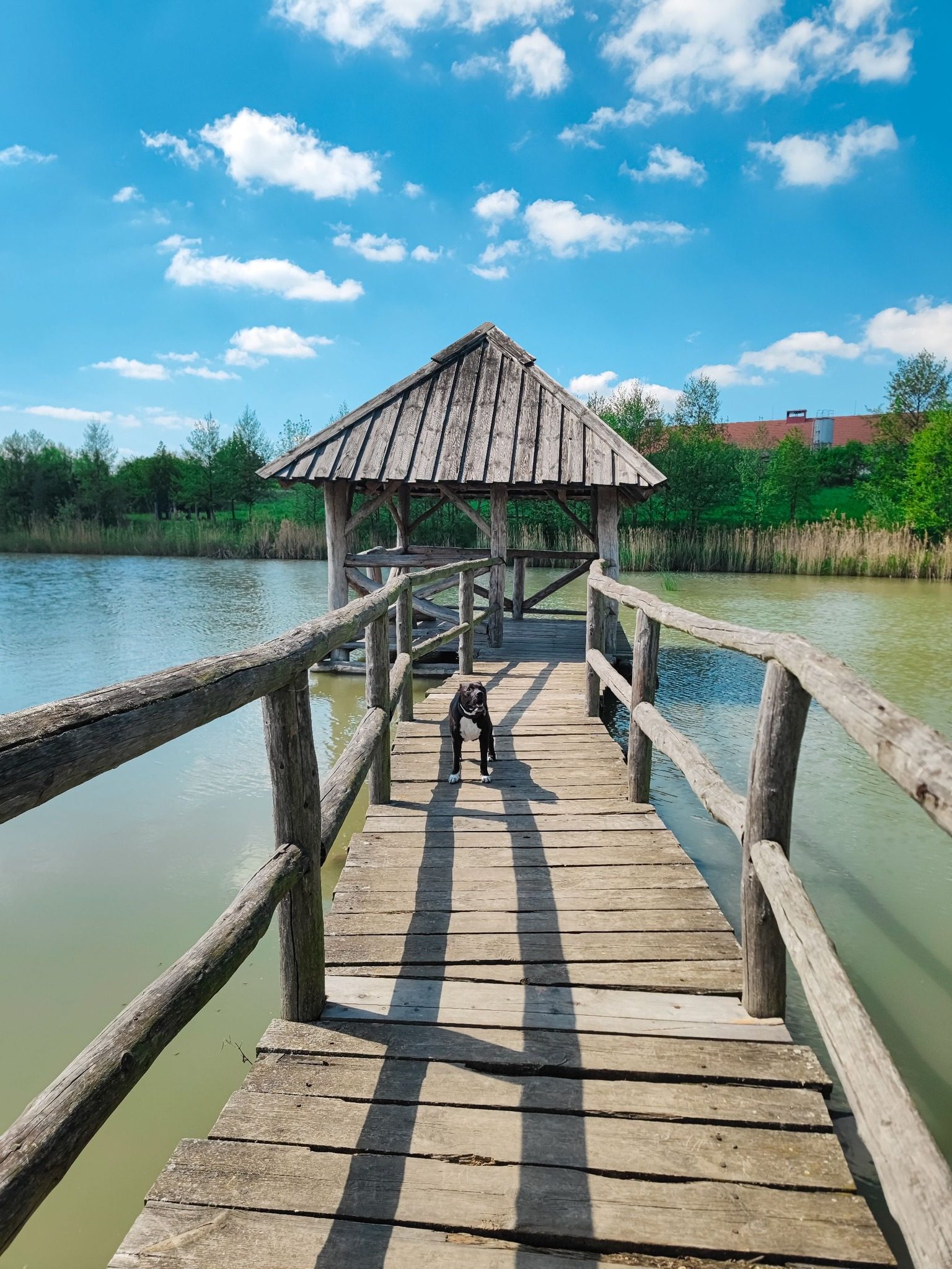 FOTOGALERIE: Rozhledna v Tučíně byla otevřená loni na podzim