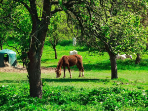 FOTOGALERIE: Rozhledna v Tučíně byla otevřená loni na podzim