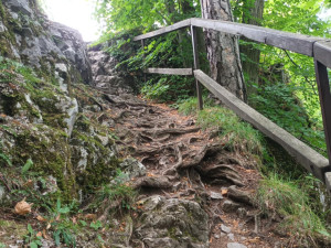 FOTOGALERIE: Indiánská hospoda, skalní brána, Zkamenělý zámek, Javoříčské jeskyně