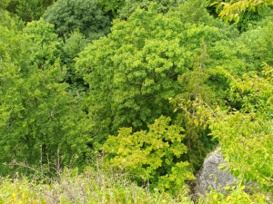 FOTOGALERIE: Indiánská hospoda, skalní brána, Zkamenělý zámek, Javoříčské jeskyně