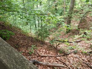 FOTOGALERIE: Indiánská hospoda, skalní brána, Zkamenělý zámek, Javoříčské jeskyně